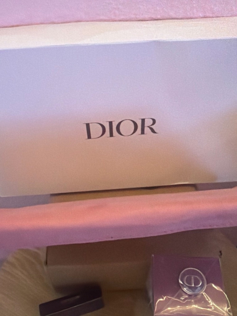 Dior Pink Logo Pouch - Women's Bag and Dior blush - Picture 2 of 4